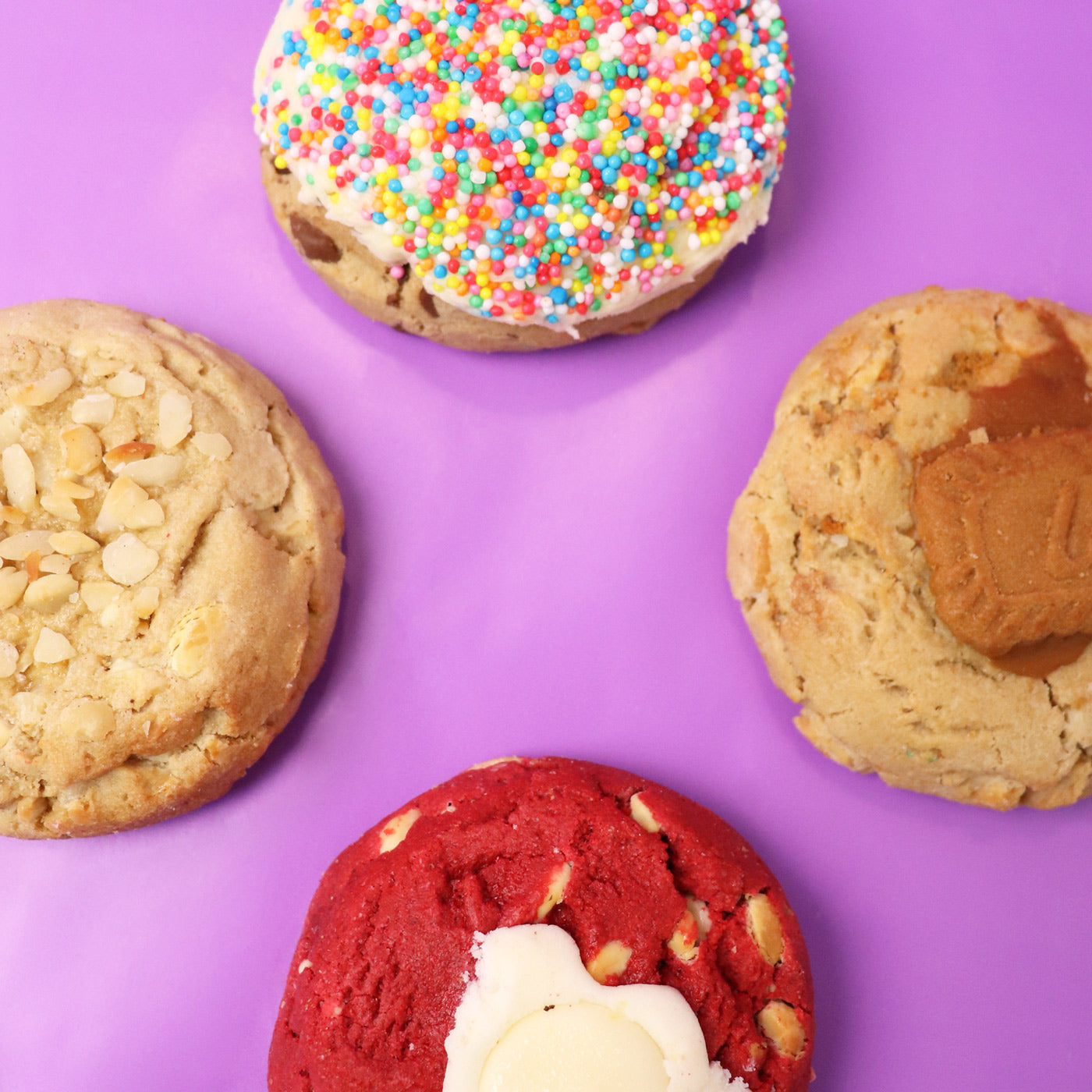Dot Cookie Box (4 Pack)