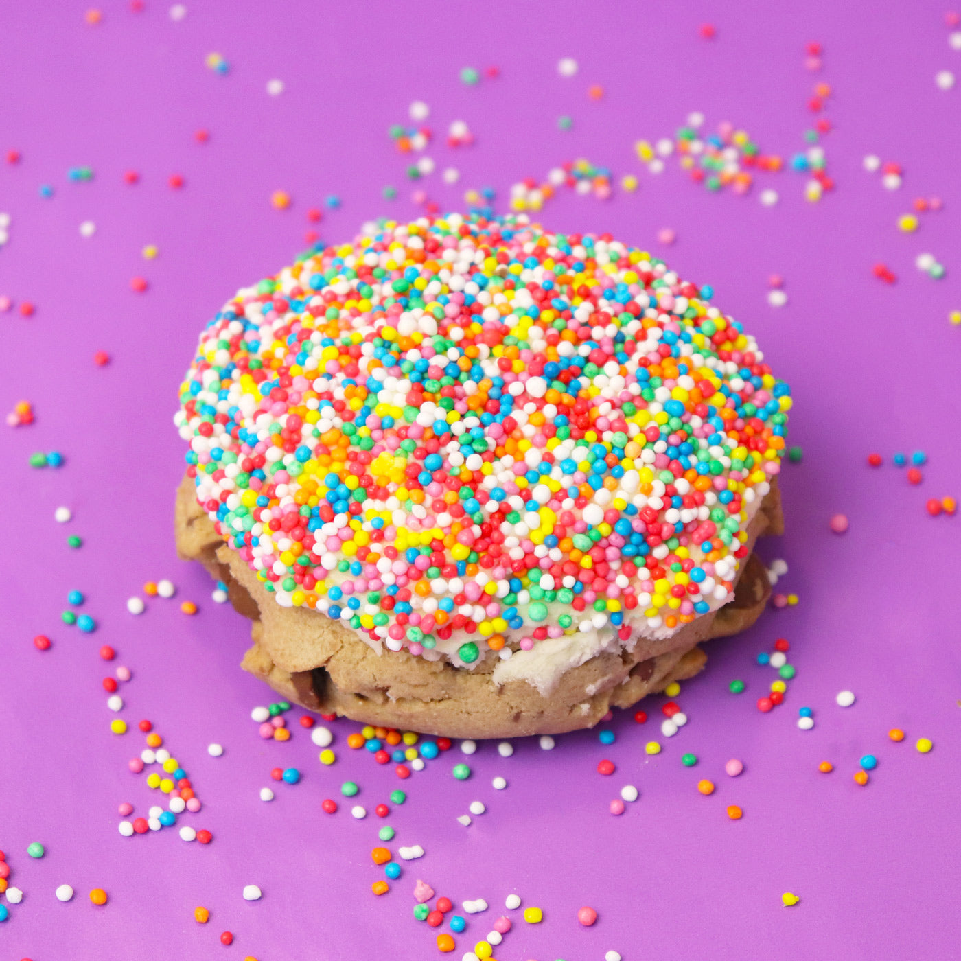 Dot Cookie Box (4 Pack)