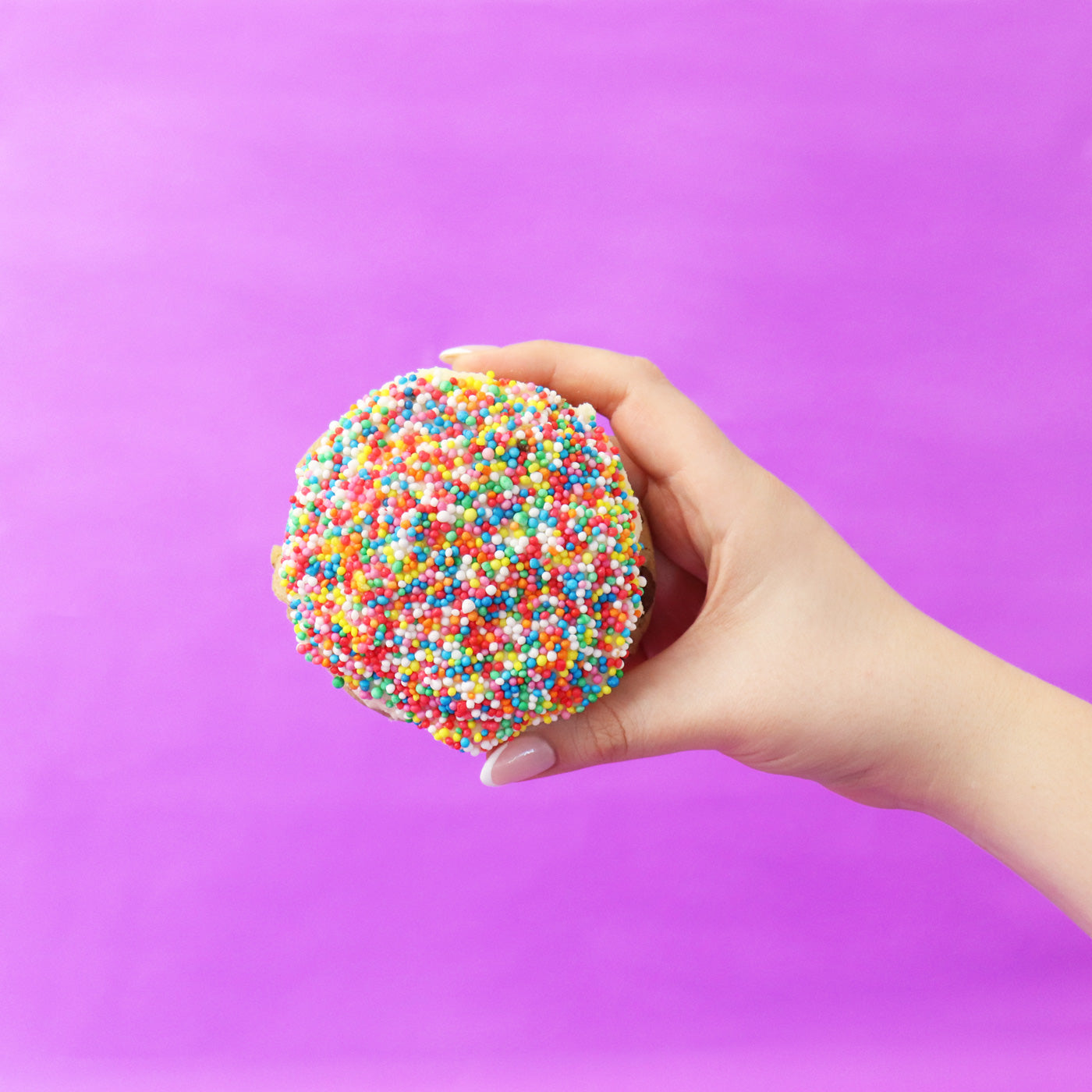 Dot Cookie Box (4 Pack)