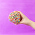 Dot Cookie Box (4 Pack)
