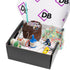 Choc Mud Birthday Cake Box - Sydney and the Gong Only