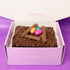 Easter Chocolate Brownie