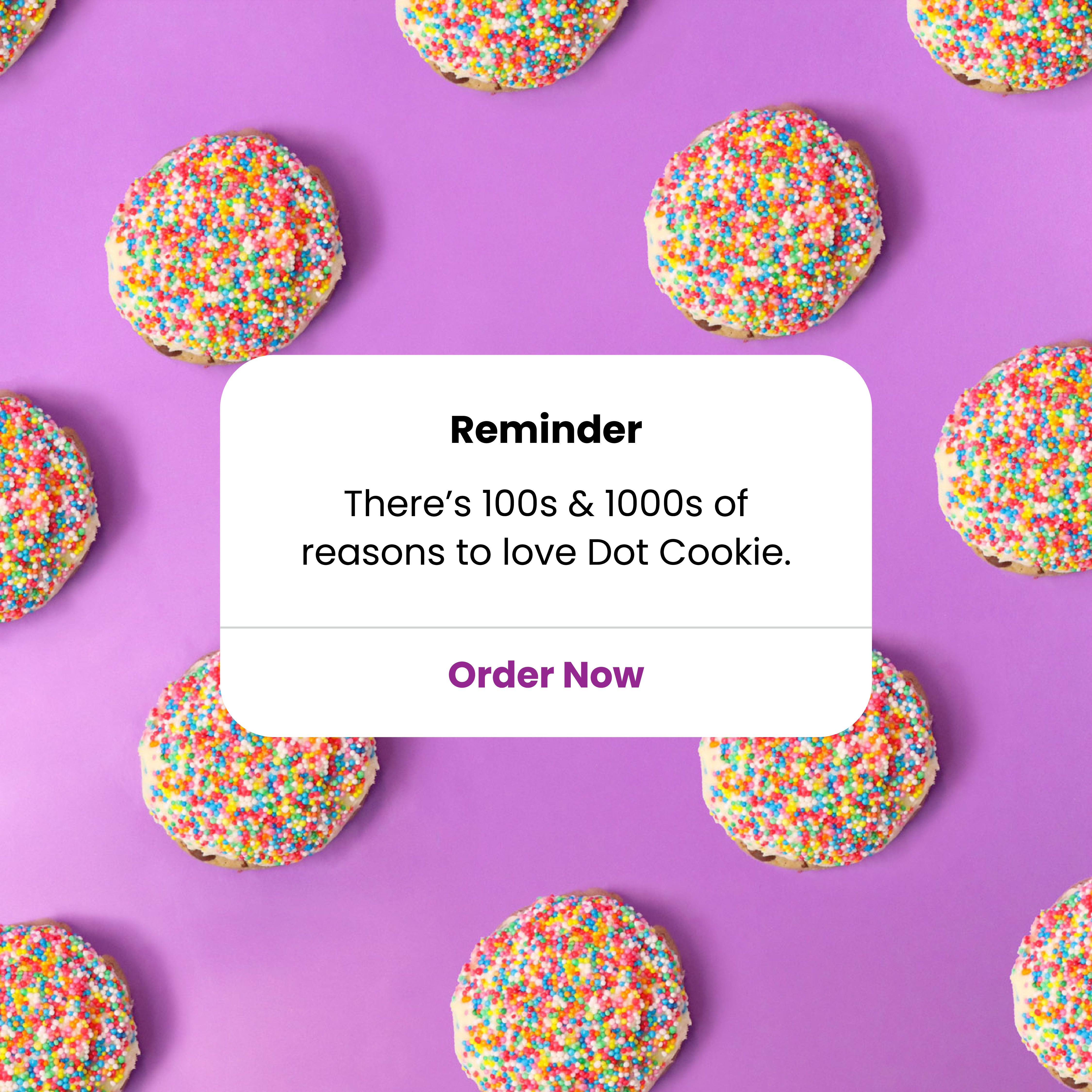 Dot Cookie Box (4 Pack)