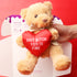 Teddy bear with a red heart saying 'SHIT BITCH YOU IS FINE' held by a hand against a red background.