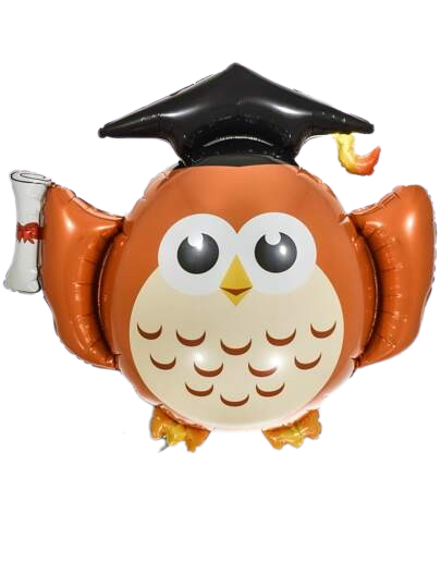 Graduation Owl Balloon (Large 87cm) - SYDNEY & GONG ONLY
