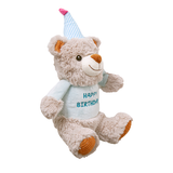 Birthday Teddy Bear 30cm